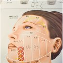 센텀리얼 이미지