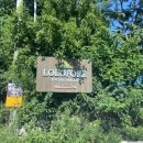 로로포레 이미지