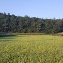 백운행정사사무소 이미지