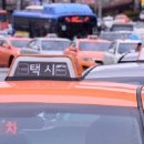 펫택시콜 이미지