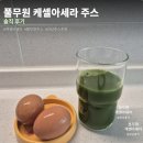 풀무원야채;과일 | 초록색이라 맛없을것 같았은데 맛있어서 당황한 주스 — 풀무원 프레시업 케셀아세라 후기