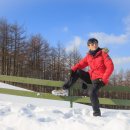 신양목장 이미지