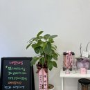 엔젤스 도그 이미지