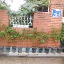 보람웰빙 이미지