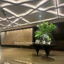 도원지하보도 | 더 플라자 호텔 중식당 도원