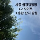 연기면사무소 | 세종 합강캠핑장 c2 사이트 후기ㅣ예약방법 시설배치 명당추천 전기정보까지