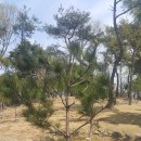 풍진여관 이미지