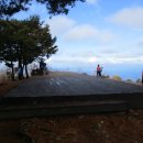 정동진1리 이미지