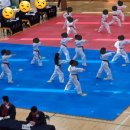 MNT 태권도 스포츠센터 이미지