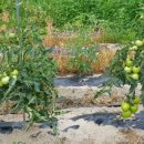 태수농장 이미지