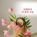 배경 DJ Lava - With the dawn of a new day 이미지