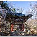 상주 남장사 보광전 목각아미타여래설법상 | 상주 가볼만한 곳, 노음산 남장사