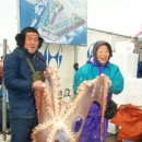 견내량민박 이미지