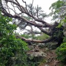 기룡경로당 이미지