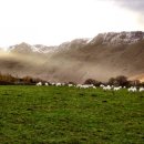 영국목장 이미지