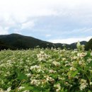 국수사랑 이미지