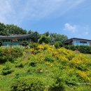 안성용화사 석조여래입상 | 안성...용화사 석불입상