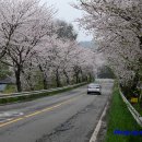 소라초신흥분교장 이미지