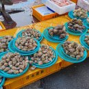 지에스(GS)25동해동회점 이미지