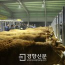 곡성-146 이미지
