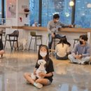 쁘니댕댕 이미지