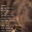 파래소 빨간지붕 이미지