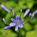 한빛 꽃농원 이미지