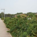 해당화어린이공원 이미지