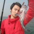 일오삼낚시 이미지