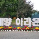 빛의 정원 - 20 이미지