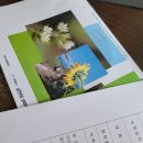 고마운행정사 이미지