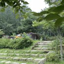 국립화천숲속야영장 이미지