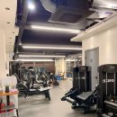 팀케이짐 이미지