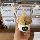 중앙로88번길 | [춘천 카페] JOC젤라또: 이탈리아 정통 젤라또 대학교 출신의 찐 맛집! (피스타치오, 리조 맛 후기)