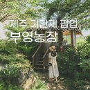 은포농장 | 제주 부영농장, 44년만에 처음으로 공개되는 개인 정원! 제주 기간제 팝업