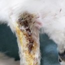 신일산동물병원 이미지