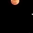 엘파로 펜션 이미지