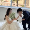 에스 클래스 동물병원 | [의왕꽃집] 프롬에스플라워 웨딩촬영용 부케&amp;부토니아 후기