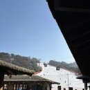 라팡드포레 | 비발디파크 홍천 스노위랜드 썰매장 후기 및 근처 숙소 정보