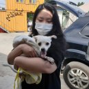 파리바게뜨선린