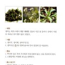 중성동113 이미지