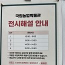 풍요로(서) | 수원전시회 추천 앙부일구, 풍요를 담는 그릇 국립농업박물관 관람 후기 꿀팁 무료 전시 정보
