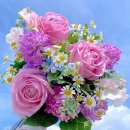 김충환사무소 이미지