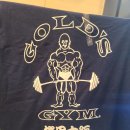 GD(Gym of Daniel) | 오사카 DAY 4 上
