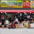 드림야채청과 이미지