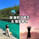 감성별빛투어 | 괌 별빛투어 돌핀크루즈 예약 콤보 할인 무료픽업