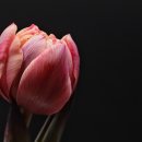 신화여행사 이미지