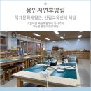 용인자연휴양림 목재문화체험관, 산림교육센터 식당 이용후기