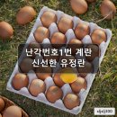 자연농수산 - 강남구 | 자연농수산