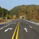 순천-22호 이미지